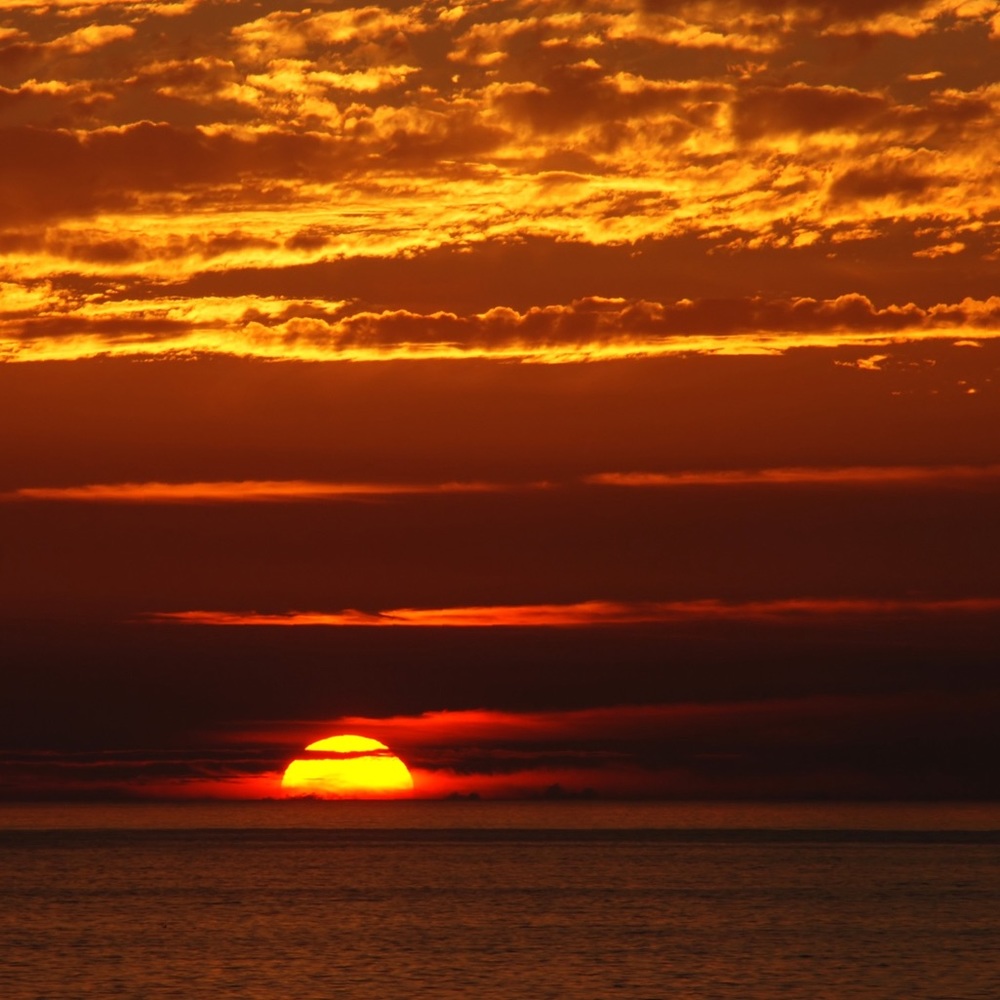 Meet your Posher, Ebaneh